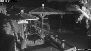 Preview of stream Awaji Island Monkey Center