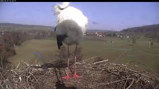 Preview of stream Stork nest in Altenstadt, Germany